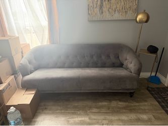 Gray Leeba Sofa Couch