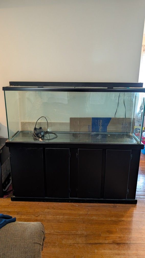 100 Gallon Fish Tank with Fluval FX4