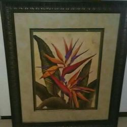 Large Wall Framed Picture! 45" x 39" 
