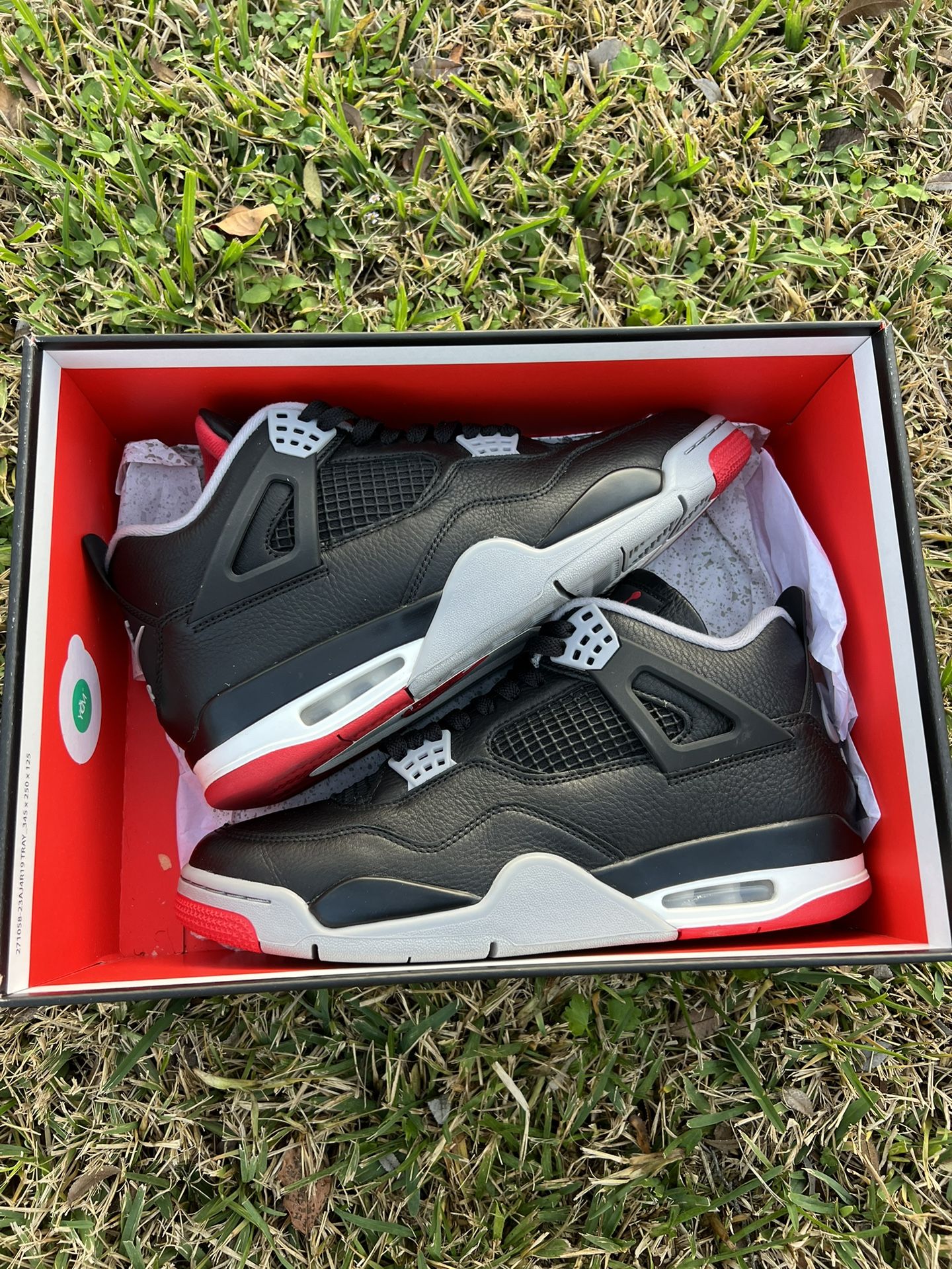 Air Jordan 4