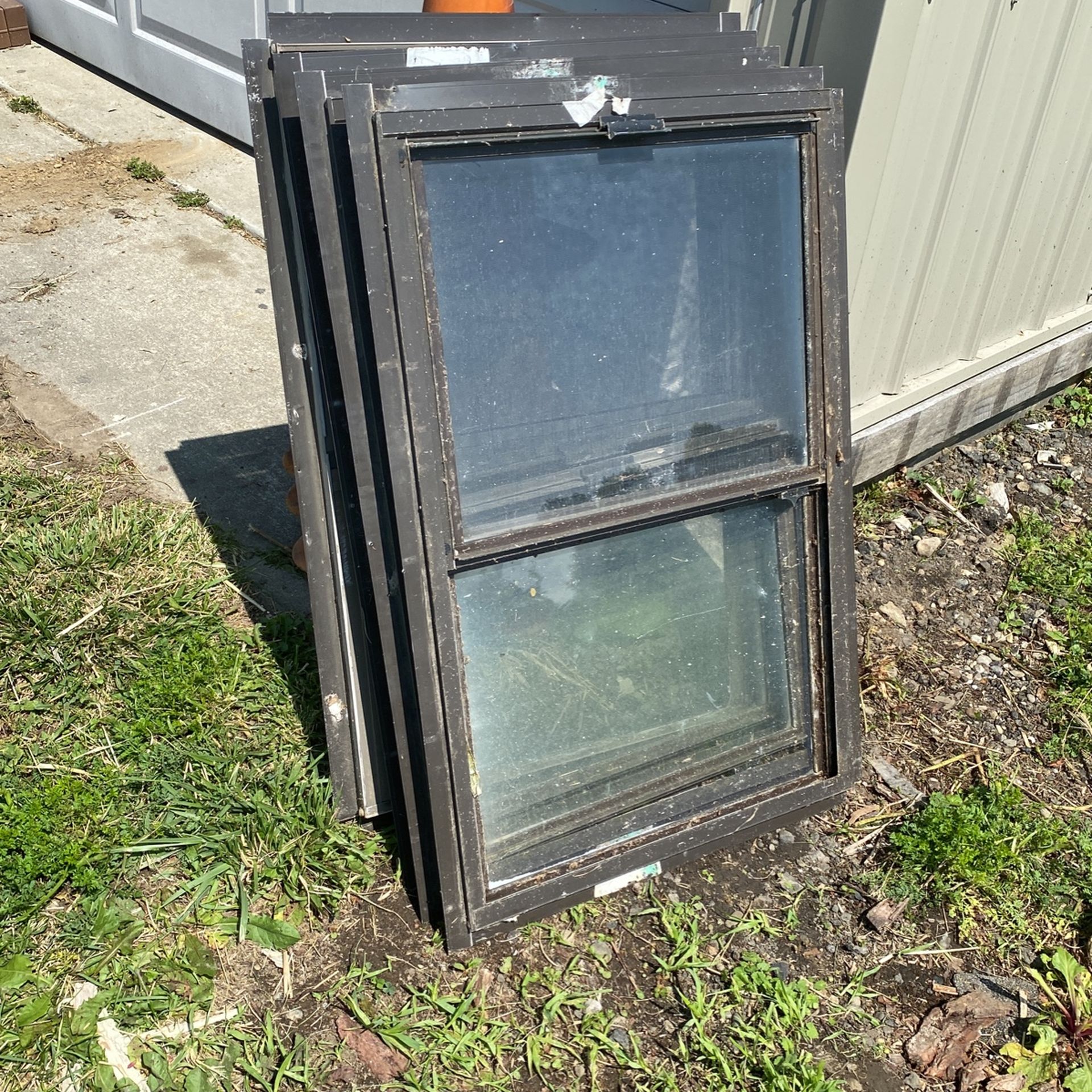 Shed Windows