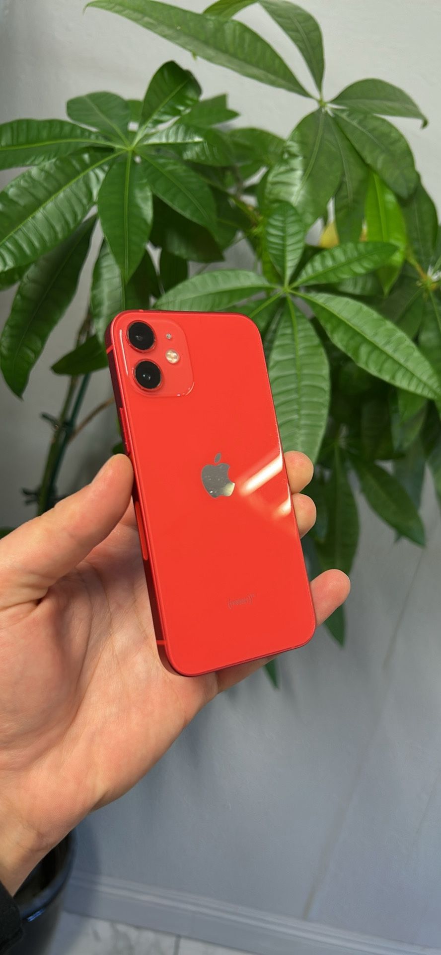 iPhone 12 mini - Unlocked - 64GB