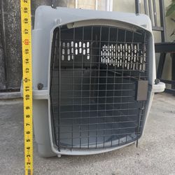 Dog Cage 