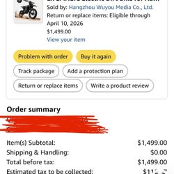 Electric Dirt Bike Adult