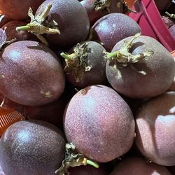 Passion Fruit Maracuyas