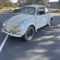 Vw Bug Not For Parts 
