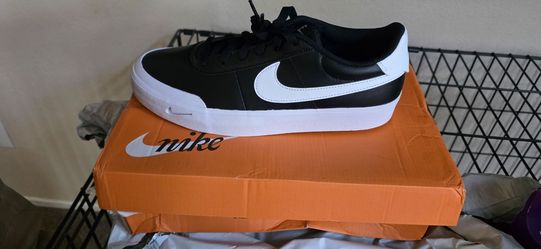 Nike SB Low-Top Skate Sneaker