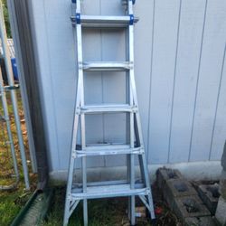 24ft Ladder 