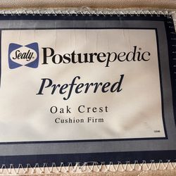 Twin sized mattress with box spring 