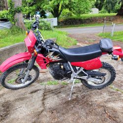 2004 KLR 250