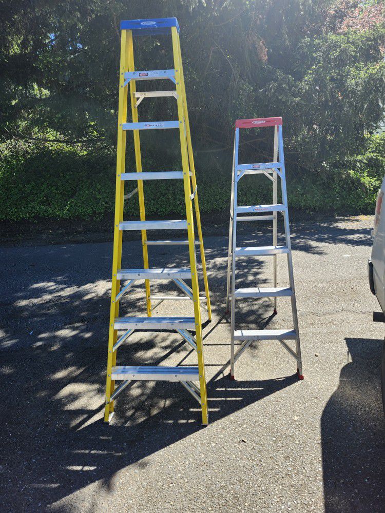 Werner Aluminum 6ft Ladder