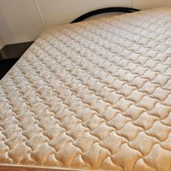 Queen Mattress
