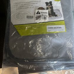 Dog Pad Training 