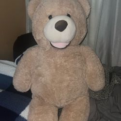 Teddy Bear