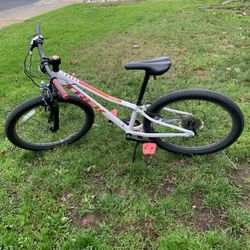 24” White Trex Bike