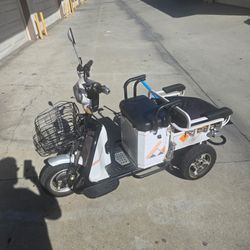 E-Pioneer 3 wheel electric bike