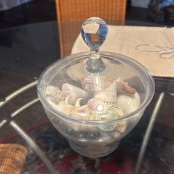 Sea shells In A Glass Vase