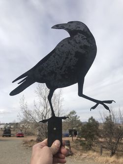 Steel Raven