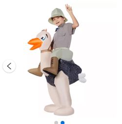 Orchid Inflatable Costume 