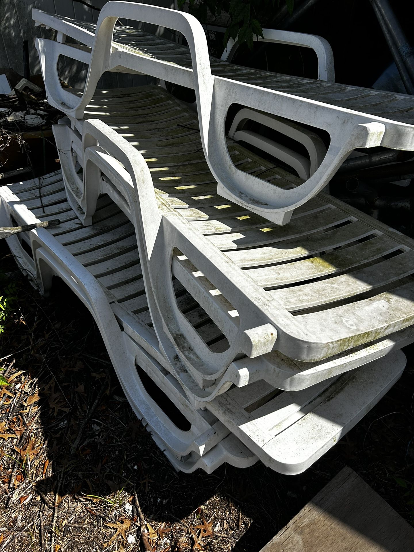 Pool Side Chairs