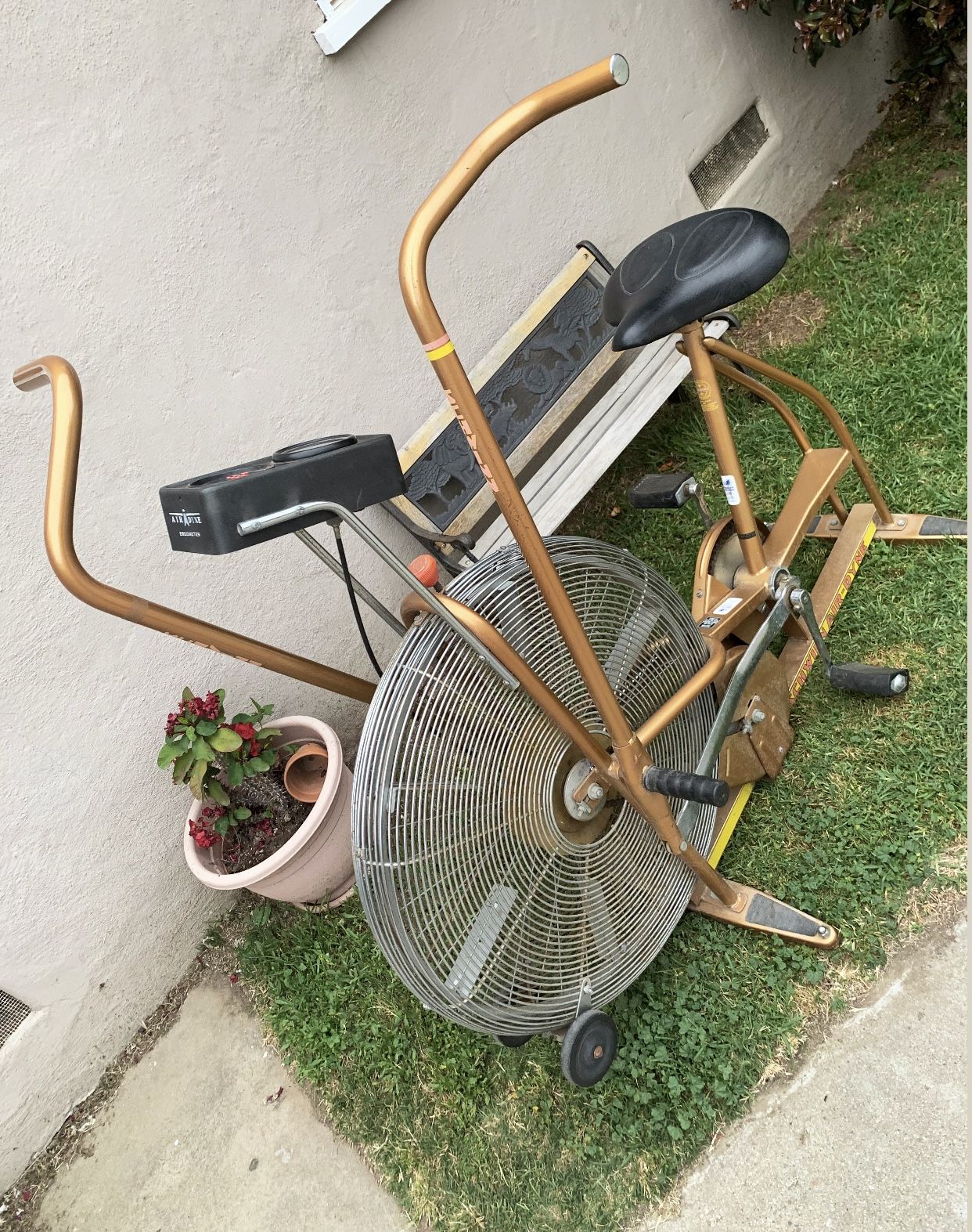 Schwinn airdyne gold hotsell