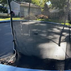 Trampoline 