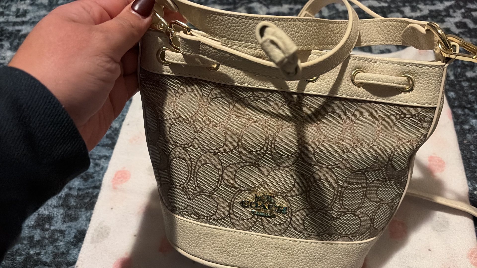 Coach Mini Bag