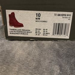 Timberlands- NEVER WORN