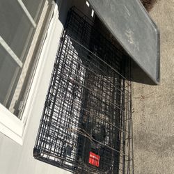 Dog Cage 