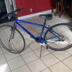 Blue Mountain Bike26” New