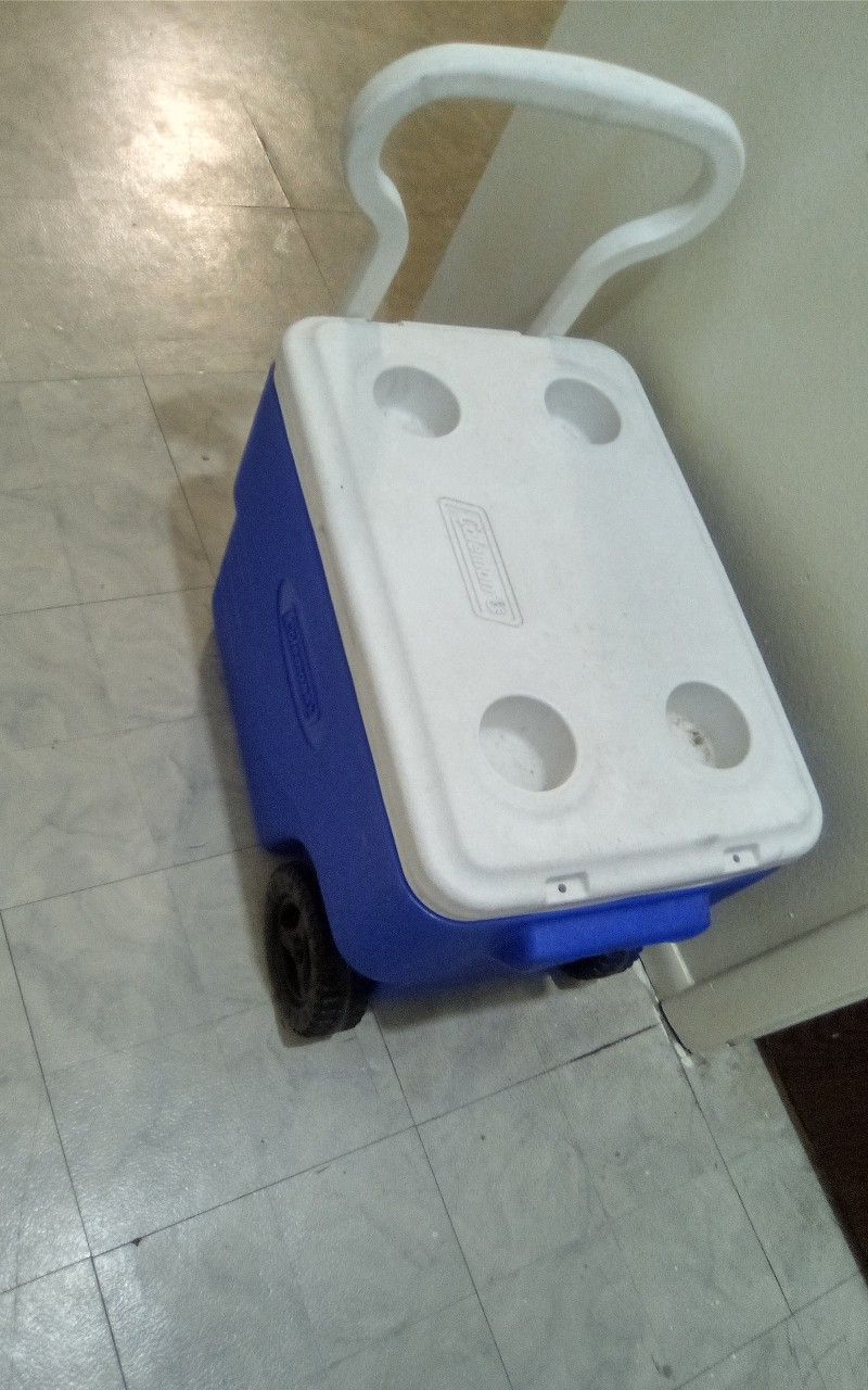 COOLER. LARGE
