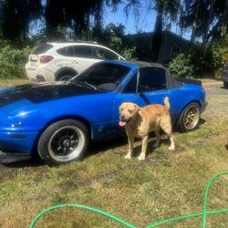 1991 Mazda Mx-5