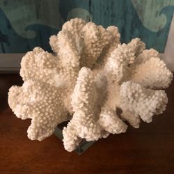 Coral Home Decor