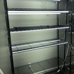 Microgreen setup 