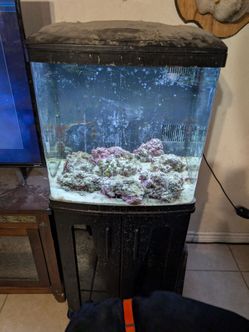 Turn key Reef tank Biocube 32 w/accessories