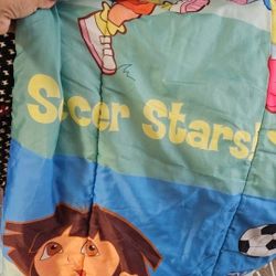 Sleeping Bag 