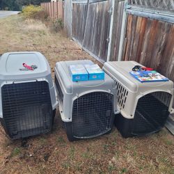 Large Dog Kennels $50 Each