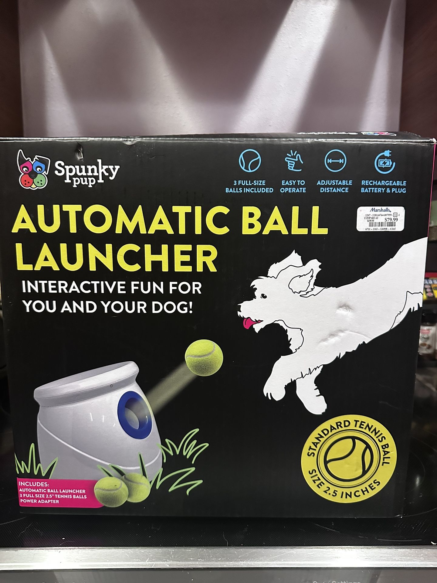 Automatic Ball Launcher For Fetch