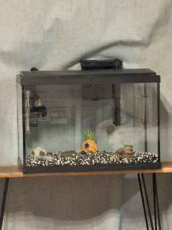 Fish tank