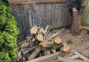 Free firewood