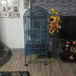 Bird Cage