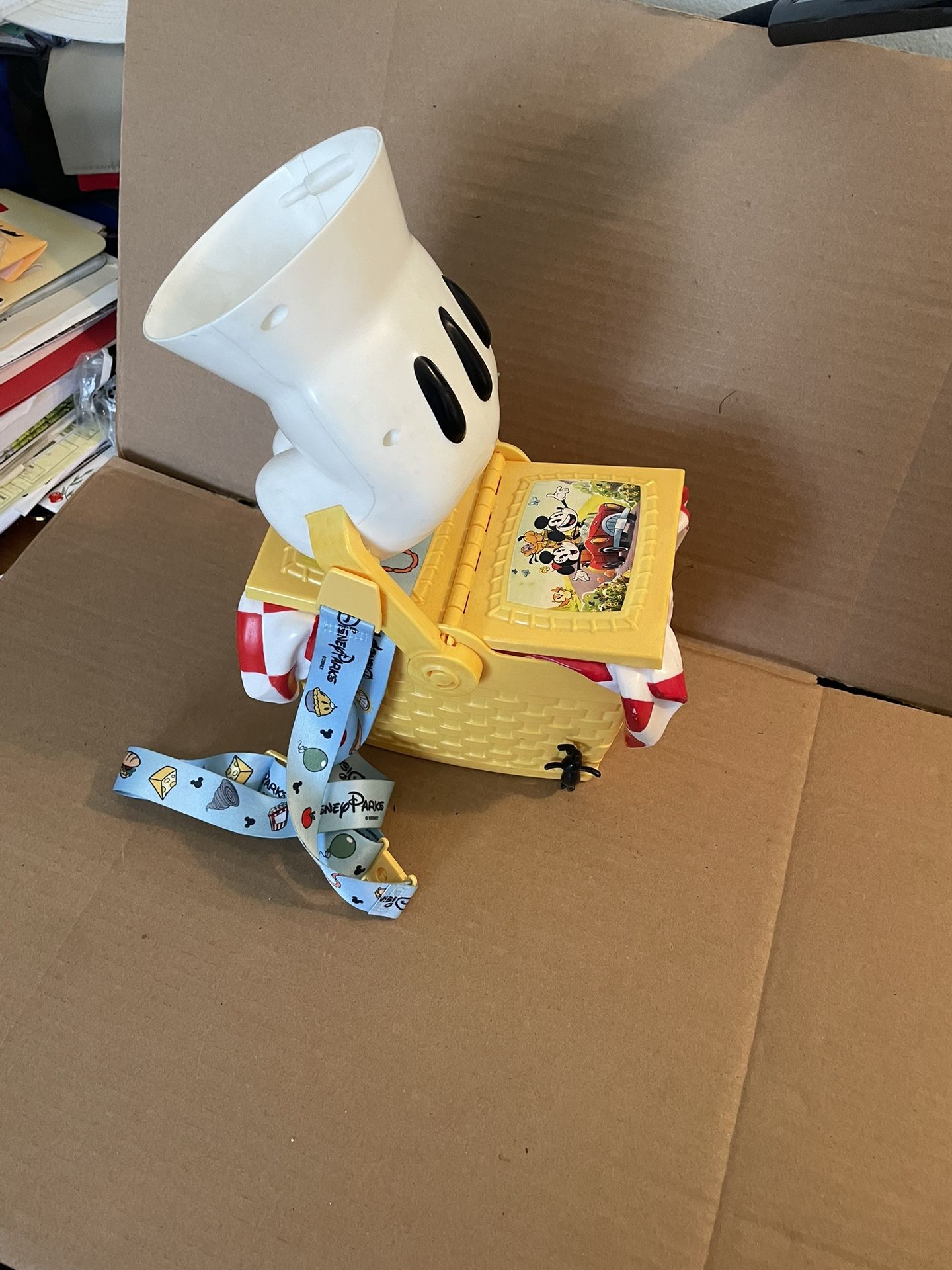 Disney Parks Popcorn Bucket