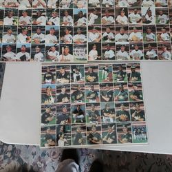 A's Baseball Cards