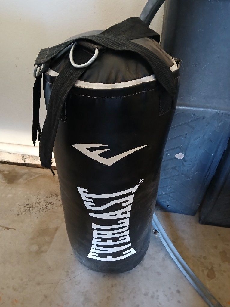 Everlast Punching Bag