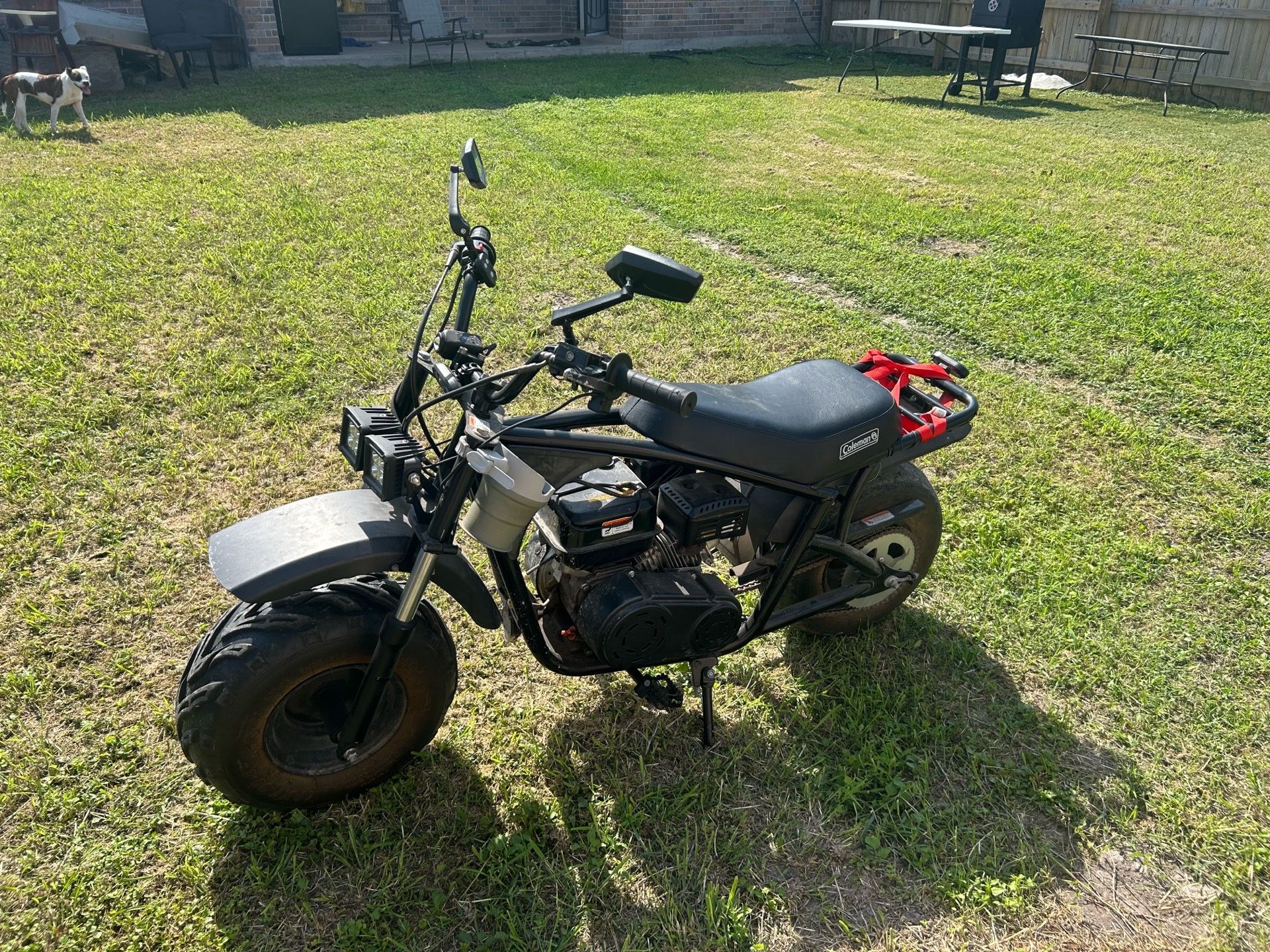 Coleman mini bike . Black color.