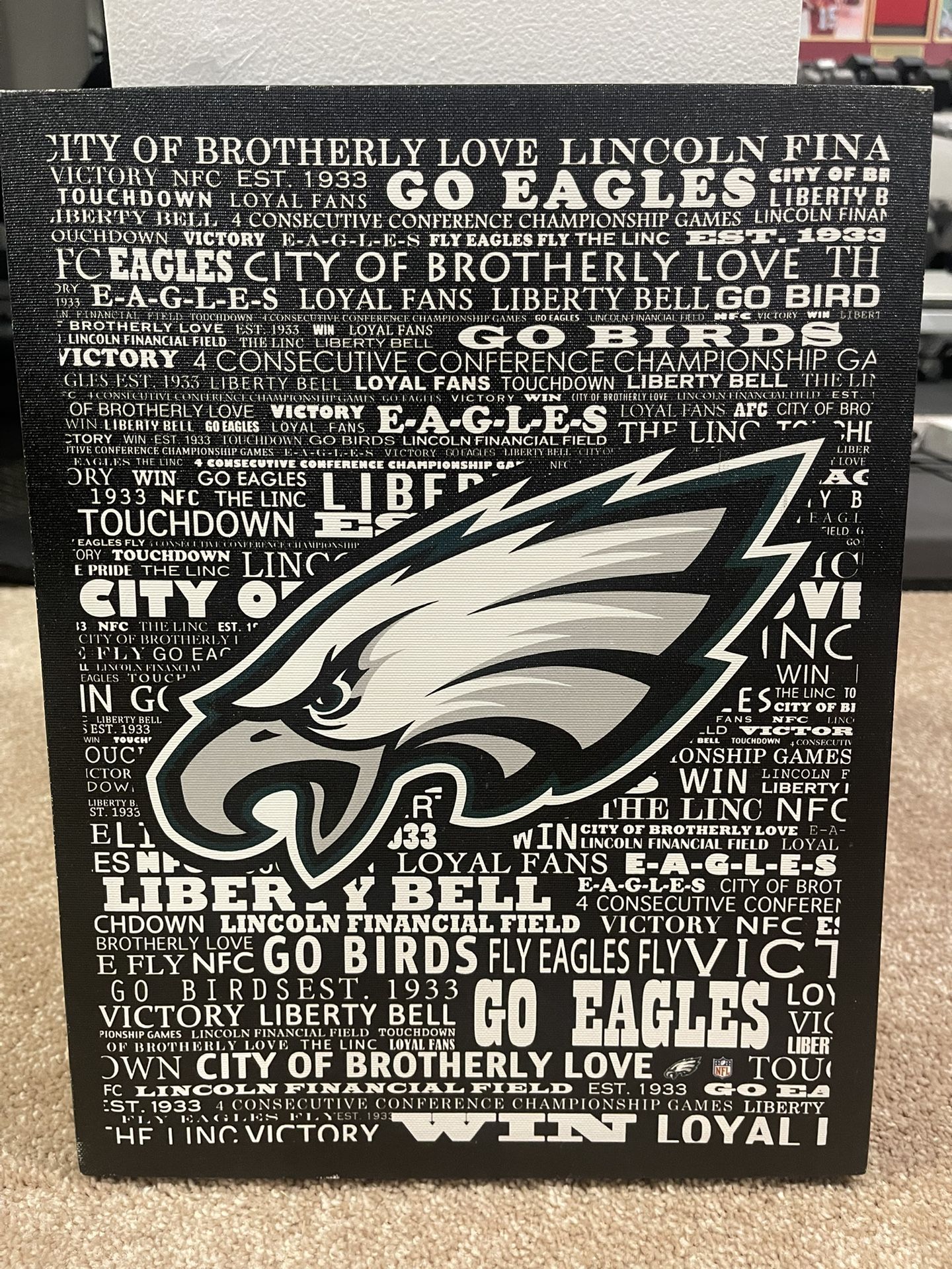 Eagles 10.5x13.5 Canvas