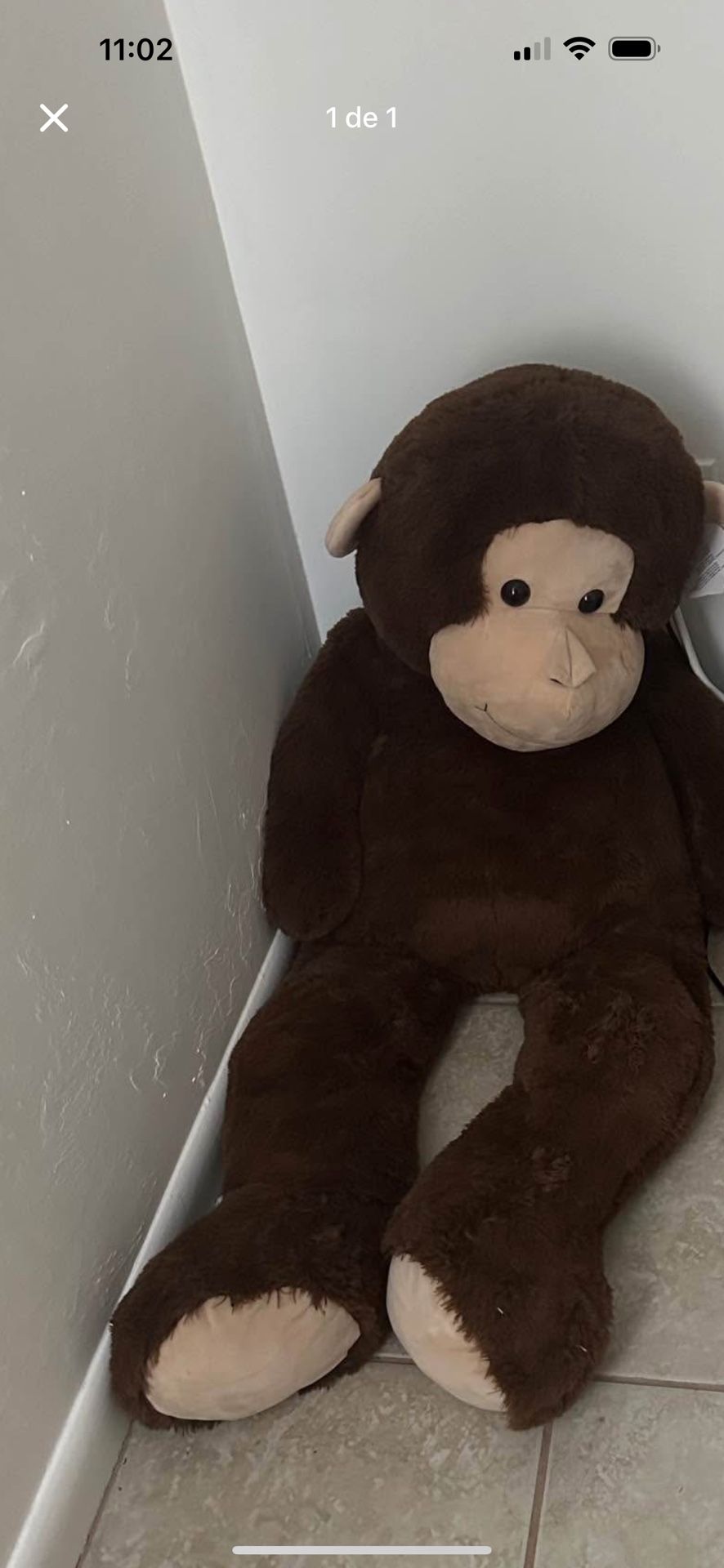 Big Monkey For A Gift
