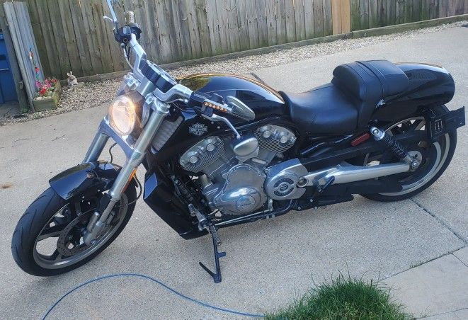 2013 Harley V-rod
