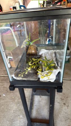 Fish Tank And Metal Stand 10 Gallon Holds 2 Tanks