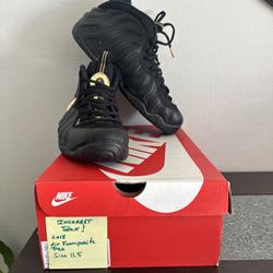 Size 11.5 - Nike Air Foamposite Pro Black Metallic With Incorrect Box.